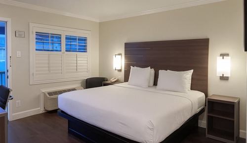 Room, 1 Queen Bed