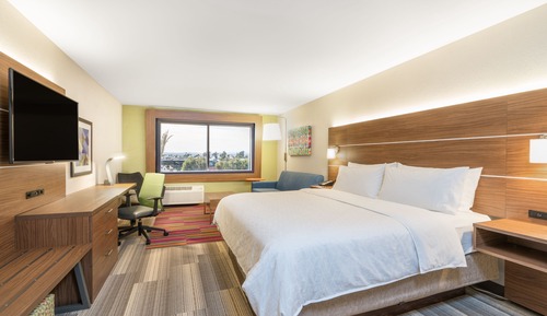 Suite, 1 King Bed with Sofa bed