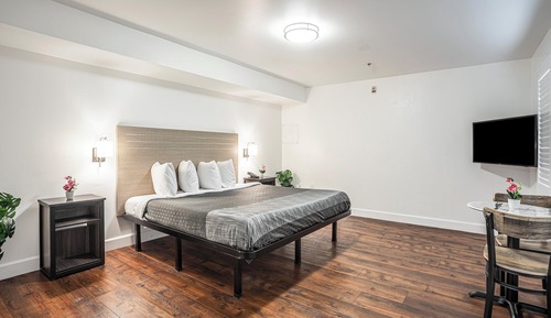 Executive Room, 1 King Bed