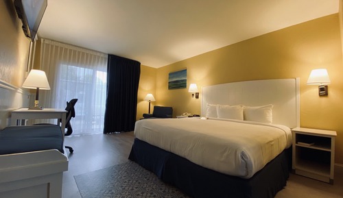Room, 1 King Bed, Non Smoking