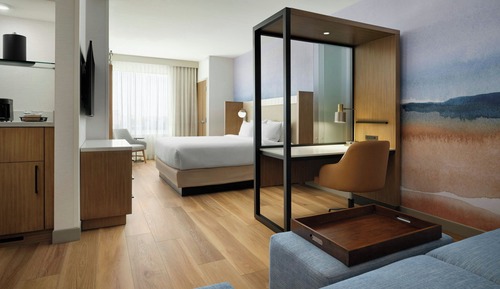 Suite, 1 King Bed with Sofa bed (Hearing Accessible)