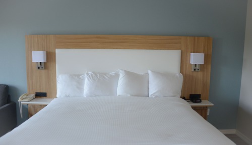 Room, 1 King Bed