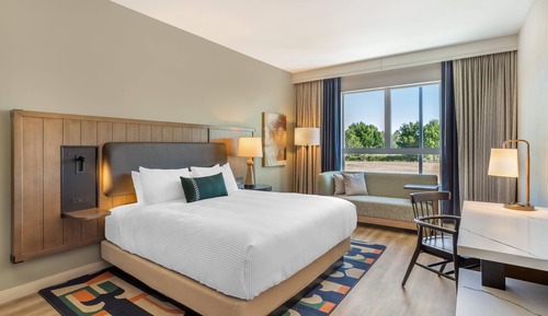 Suite, 1 King Bed with Sofa bed, Non Smoking (Efficiency, Upgrade)