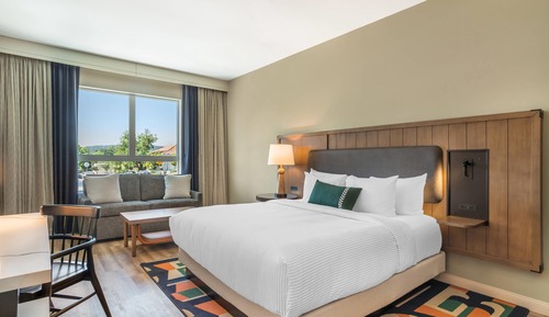 Standard Room, 1 King Bed with Sofa bed, Non Smoking