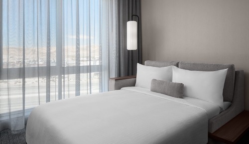 Room, 1 King Bed with Sofa bed
