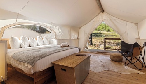 Stargazer Tent