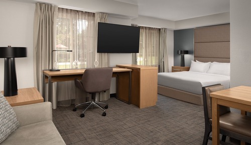 Studio, 1 Queen Bed with Sofa bed