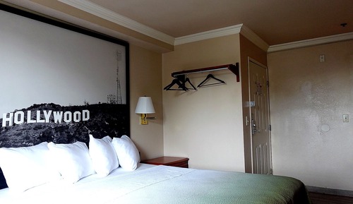 Single Room, 1 King Bed