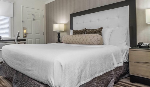 Standard Room, 1 King Bed, Non Smoking