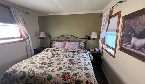 King Suite with Courtyard View (Dog Friendly)