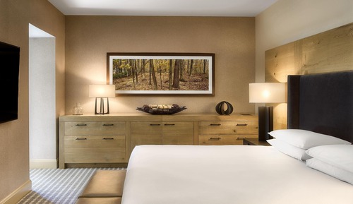 Suite, 1 Bedroom