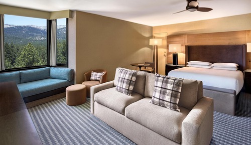 Room, 1 King Bed with Sofa bed