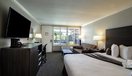Room, 1 King Bed with Sofa bed (Courtyard)