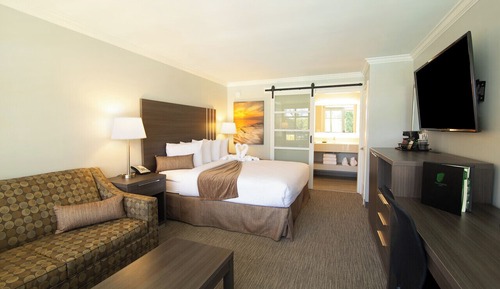 Standard Room, 1 King Bed