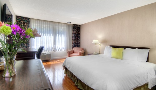 Suite, 1 King Bed, Non Smoking