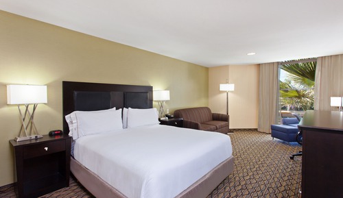 Standard Room, 1 King Bed, Accessible (Communications, Mobility)