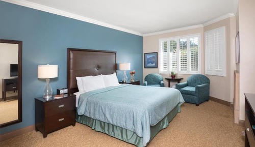 Deluxe Room, 1 King Bed (No pets)
