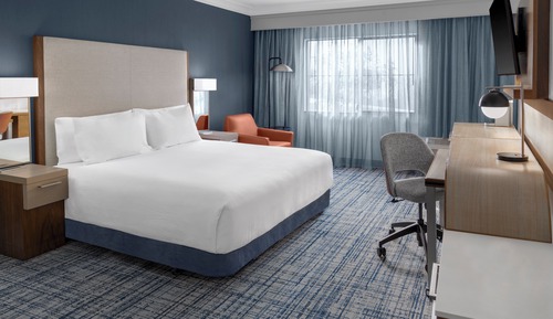 Room, 1 King Bed with Sofa bed (Mobility/Hearing Accessible, Tub)