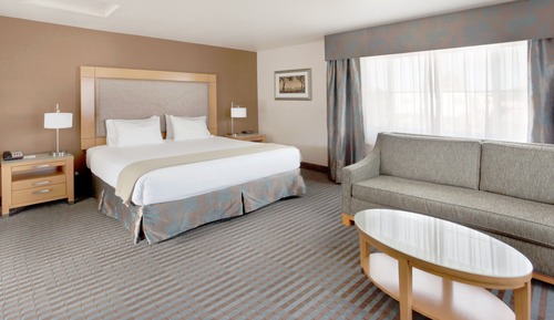 Standard Room, 1 King Bed with Sofa bed
