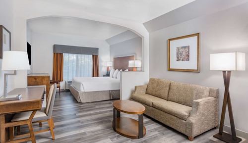 Suite, 1 King Bed with Sofa bed, Non Smoking
