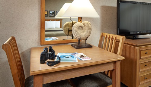 Standard Room, 1 King Bed with Sofa bed