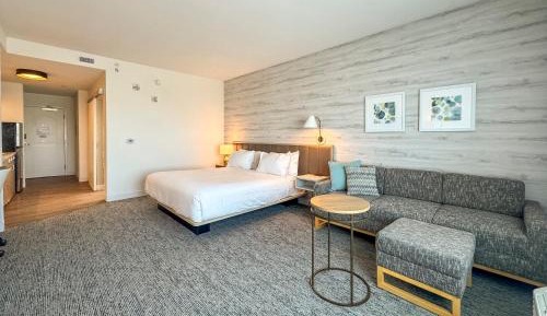 Studio Suite with King Bed and Sofa Bed
