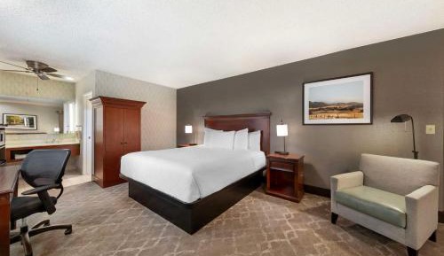 Large King Room with Sofa Bed - Non-Smoking