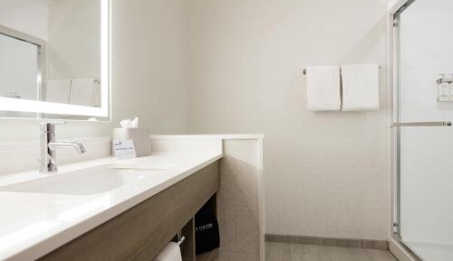 Deluxe King Room - Disability Access Roll in Shower/Non-Smoking