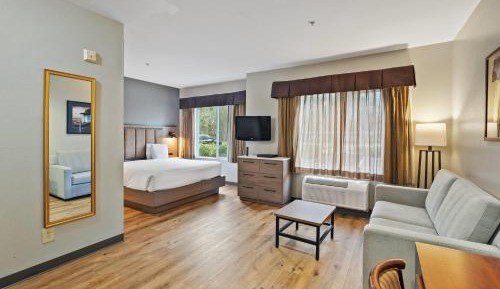 Studio King Suite with Sofa Bed - Non-Smoking