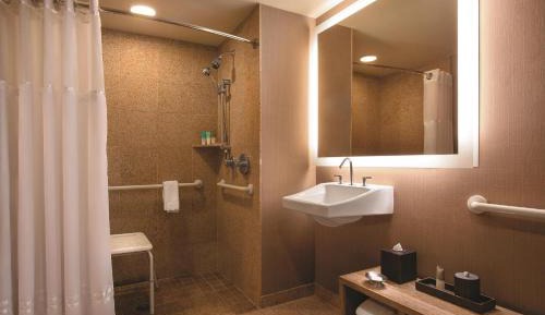 King Room with Accessible Shower - Disability Access