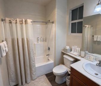 Deluxe One-Bedroom Apartment