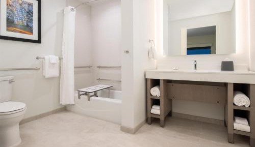 One-Bedroom Queen Suite with Sofa Bed - Accessible Tub