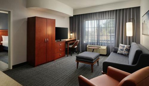 One-Bedroom King Suite with Sofa Bed
