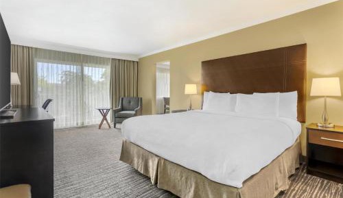 Two Room Suite with King Bed