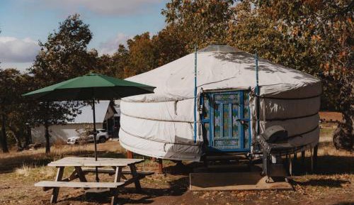 Tent