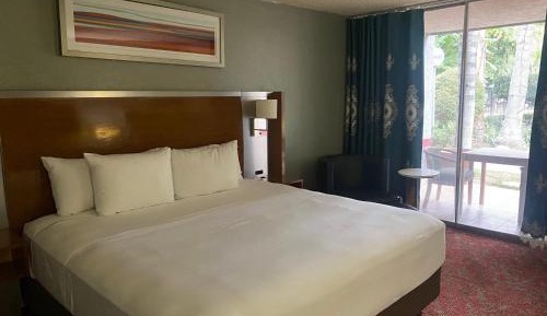 King Room with Pool View