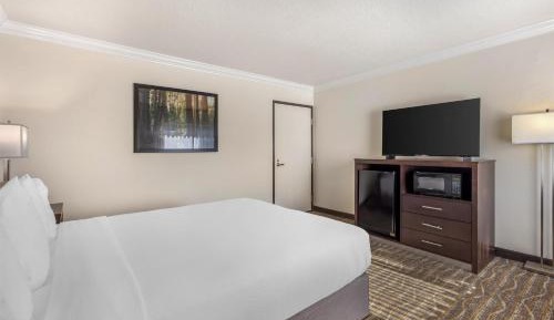 Accessible Suite
