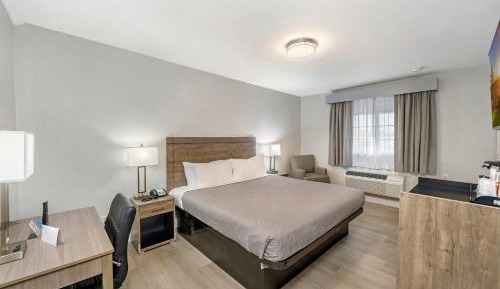 Standard King Room - Non-Smoking 
