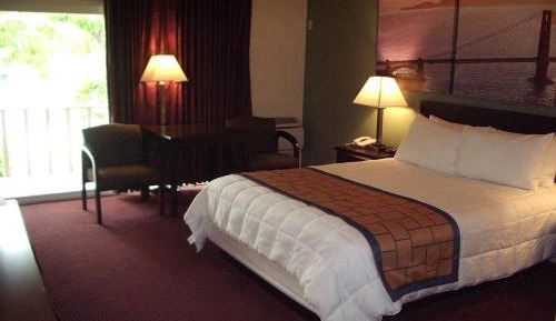 Deluxe King Suite with Roll-In Shower - Mobility Accessible/Non-Smoking