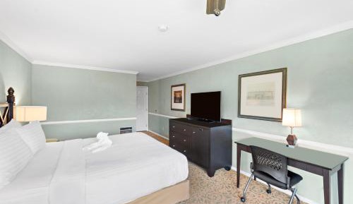 Standard King Room