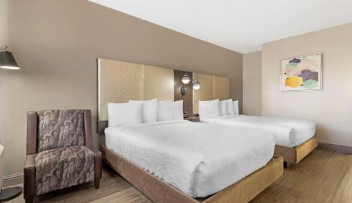 Double Room with Two Double Beds and Walk-In Shower - Disability Access/Non-Smoking