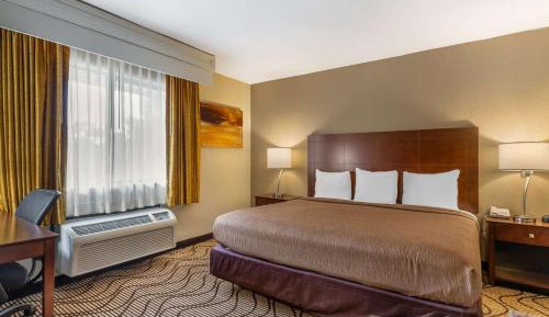 King Room with Roll-In Shower - Disability Access