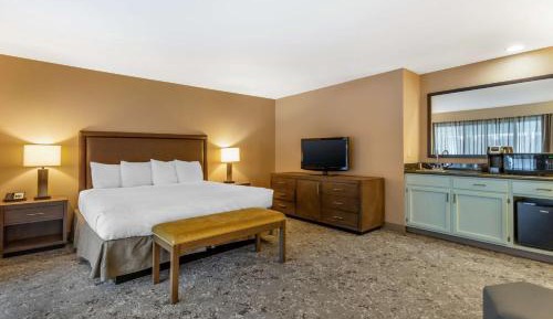 King Room - Pet Friendly/Non-Smoking