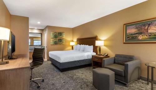 Junior King Suite with Sofa Bed and Balcony - Non-Smoking