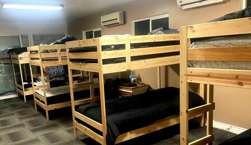Bed in 8-Bed Mixed Dormitory Room
