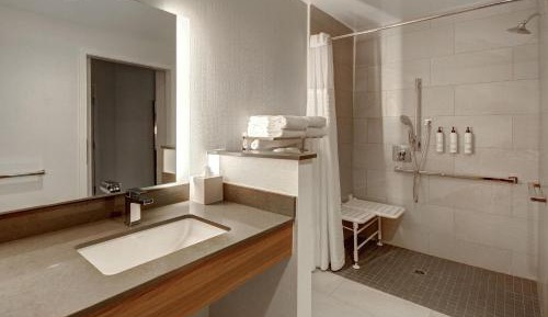 Executive King Suite with Sofa Bed