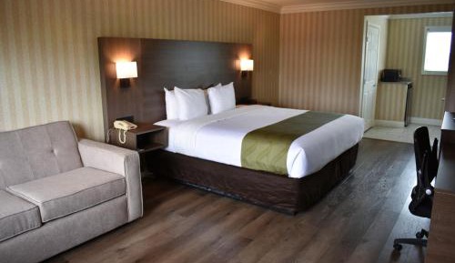 Standard Room, 1 King Bed, Sofa Bed, Non Smoking