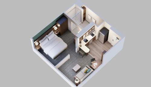 One-Bedroom King Suite with Sofa Bed