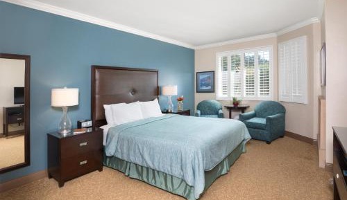 Deluxe King Room