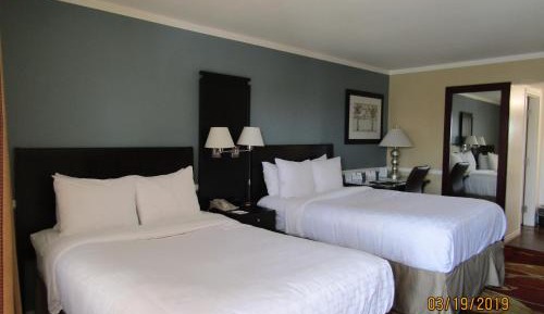 Standard Double Room with Two Double Beds